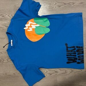 Zara Kids Blue Tee with Orange and Green Graphic
